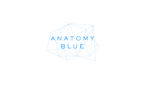 Debbie Irwin Voiceover Anatomy Blue Logo